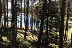 AMOMERTT-ANDORRE-COLINE-19-04-20_174-800x600