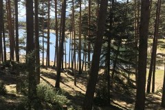 AMOMERTT-ANDORRE-COLINE-19-04-20_175-800x600
